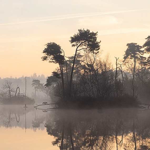 Spirituele webshop in Arnhem met edelstenen, sieraden, beeldjes, kaarsen en wierook voor ontspanning en meditatie.